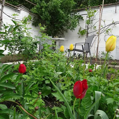 House With Garden Sibiu